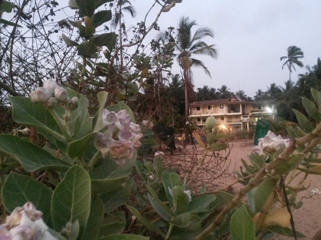 Ivon Guest House, Arambol Beach Buitenkant foto